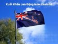 xkld newzealand