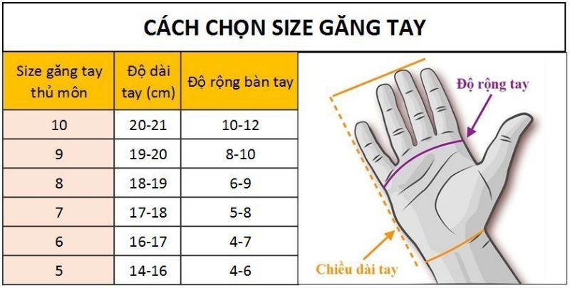 cách chọn size găng tay 