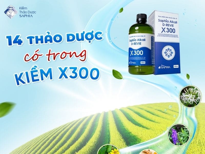 Những lợi ích khi uống nước kiềm đúng cách