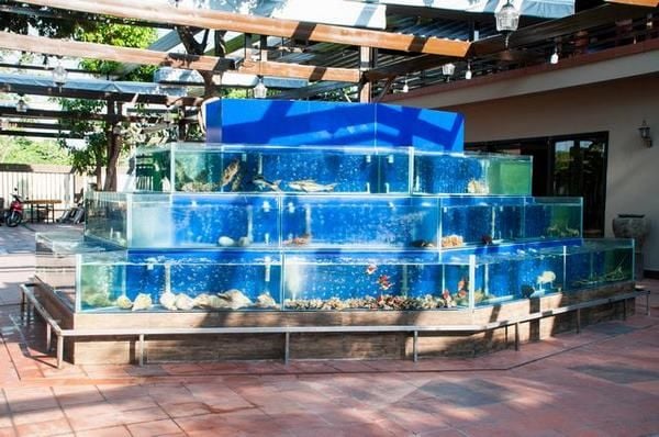 Bể hải sản là gì?